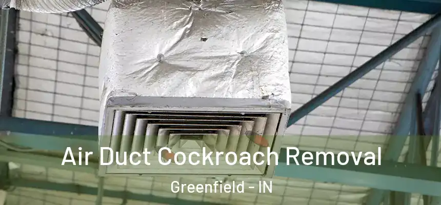 Air Duct Cockroach Removal Greenfield - IN