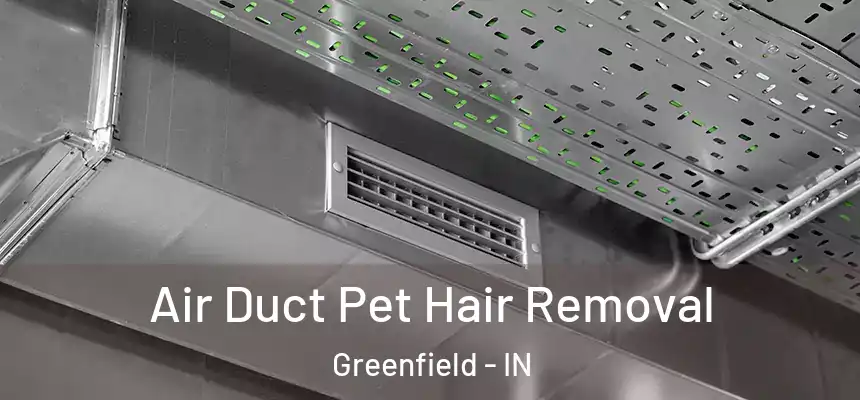  Air Duct Pet Hair Removal Greenfield - IN