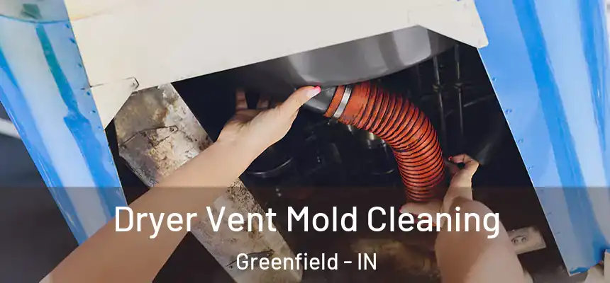 Dryer Vent Mold Cleaning Greenfield - IN