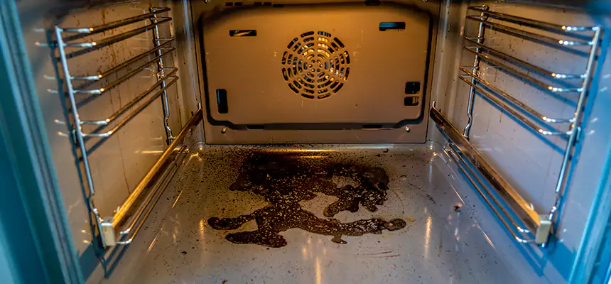 Our Dryer Vent Mold Cleaning Services in Greenfield, IN