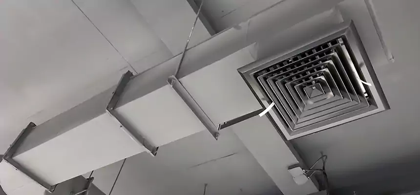 Our Pest Removal From Ducts Services in Greenfield, IN