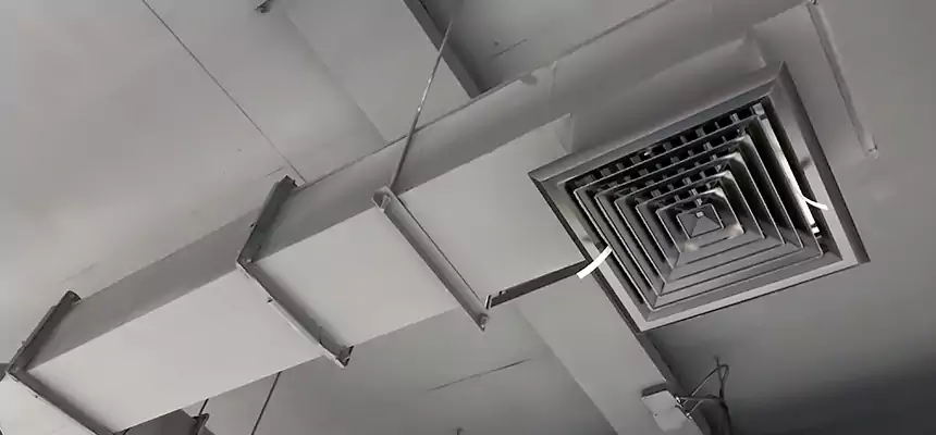 Our Rodent Droppings In Vents Services in Greenfield, IN