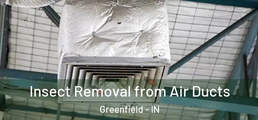  Insect Removal from Air Ducts Greenfield - IN