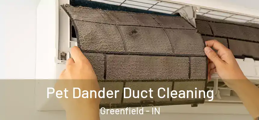 Pet Dander Duct Cleaning Greenfield - IN