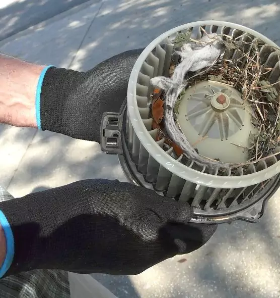 About Air Duct Rat Removal in Greenfield, IN