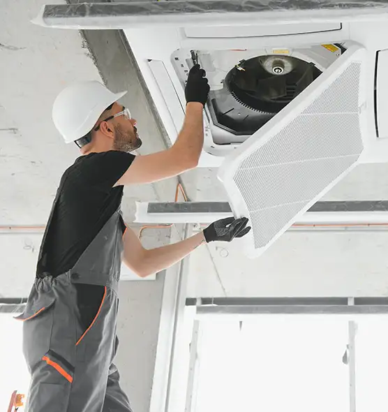 About Air Duct Rodent Removal in Greenfield, IN