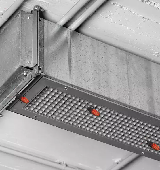 Affordable Insect Removal from Air Ducts in Greenfield, IN