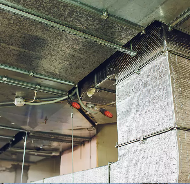 Why Homeowners & Businesses Trust Us in Greenfield, IN?